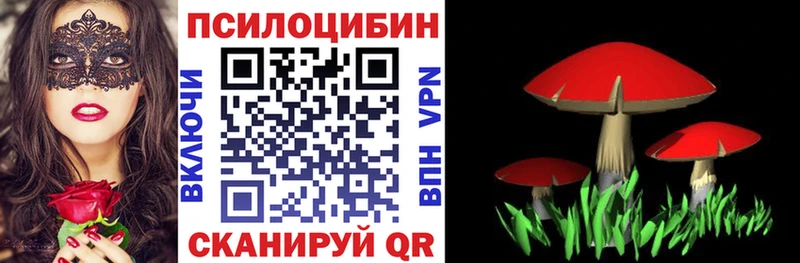 Галлюциногенные грибы GOLDEN TEACHER  Салаир 
